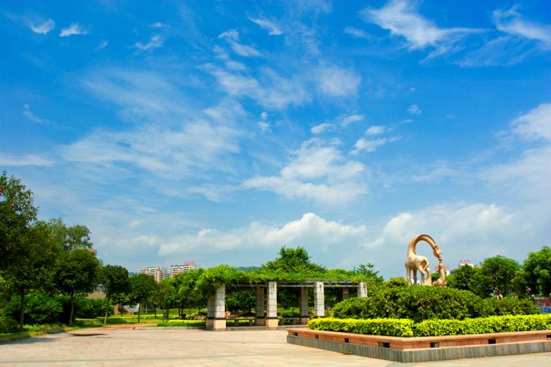 “圍捕雪豹”“漂流小孩哥大鬧幼兒園”等都是謠言！10起網絡謠言案件公布