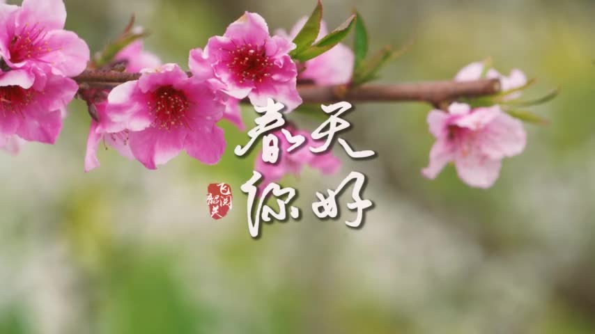 你好，韶關(guān)
