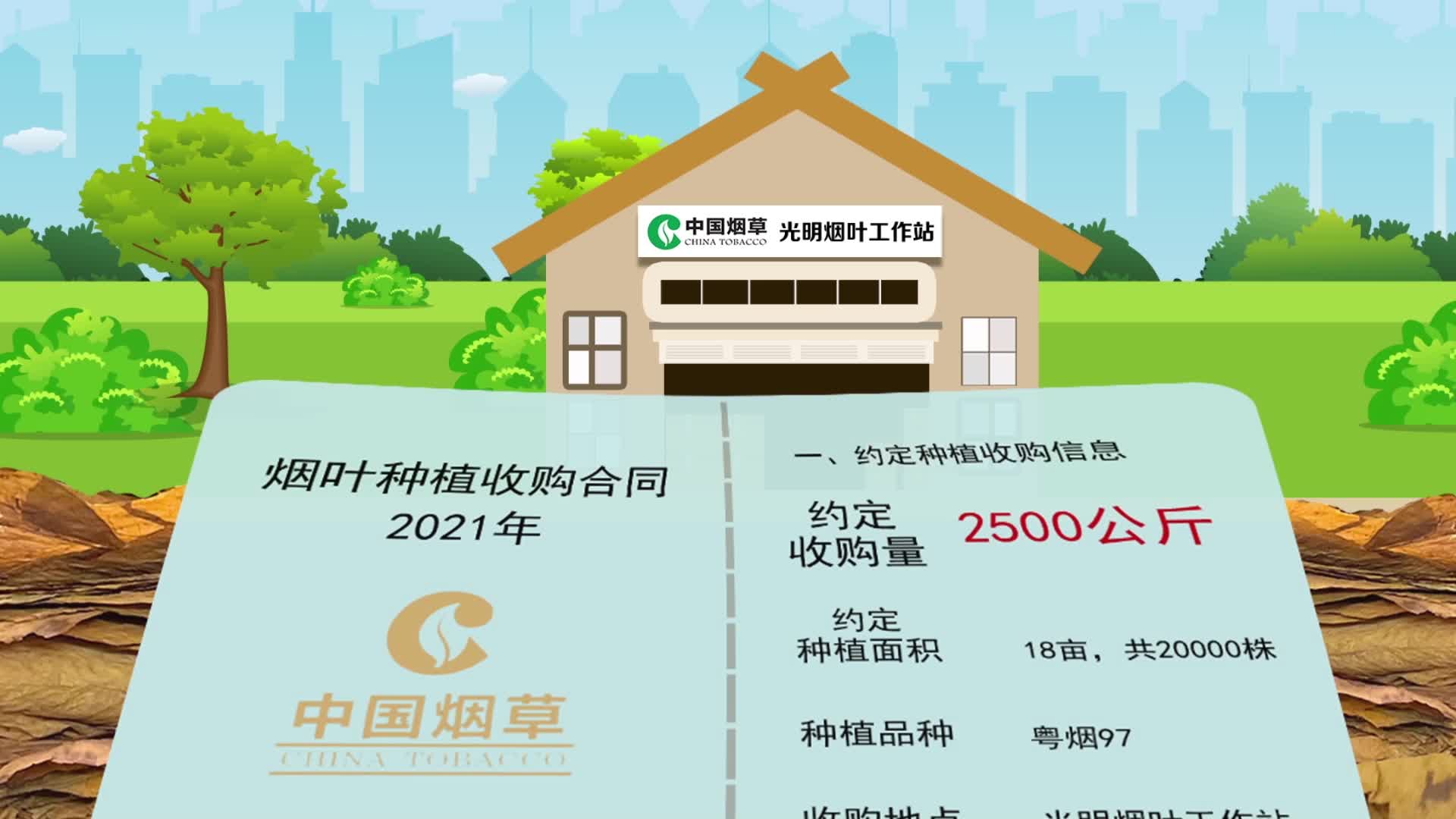 煙葉收購高壓線“碰不得”