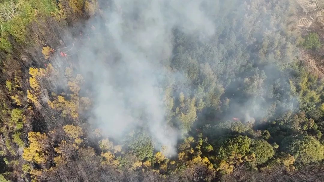 又起山火！又是祭祖時發(fā)生！韶關兩名村民被帶走