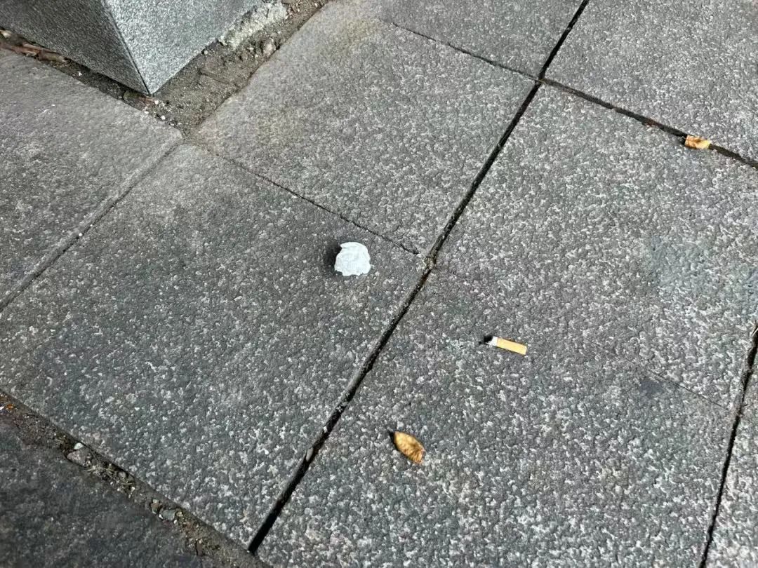1746499461517623658.jpg