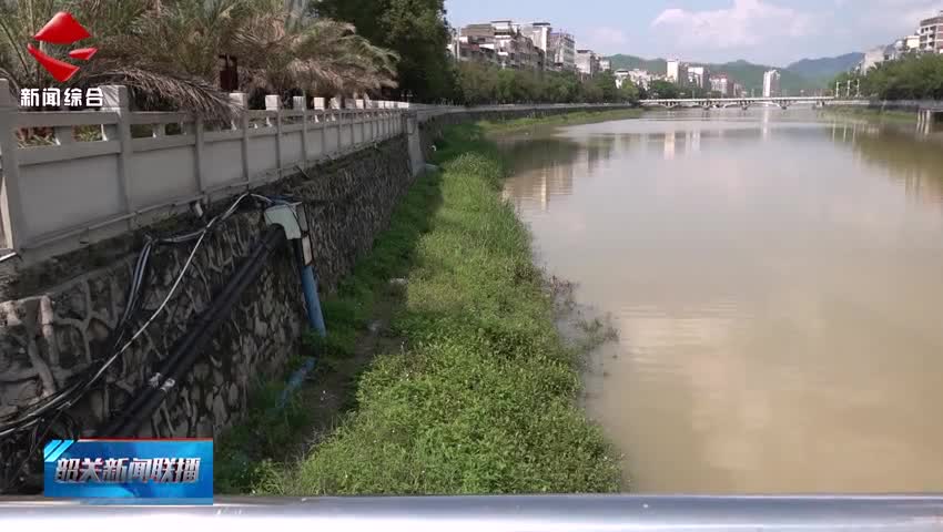 【善美之城·核心價值觀】新豐一女子落水命懸一線 三市民挺身而出合力救援