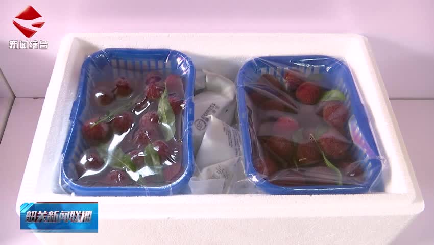2025年始興楊梅季推介活動成功舉辦