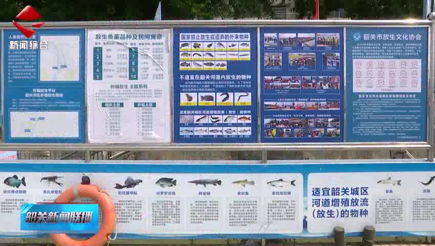 “六一”與“放魚日”邂逅 童心協(xié)力護生態(tài)