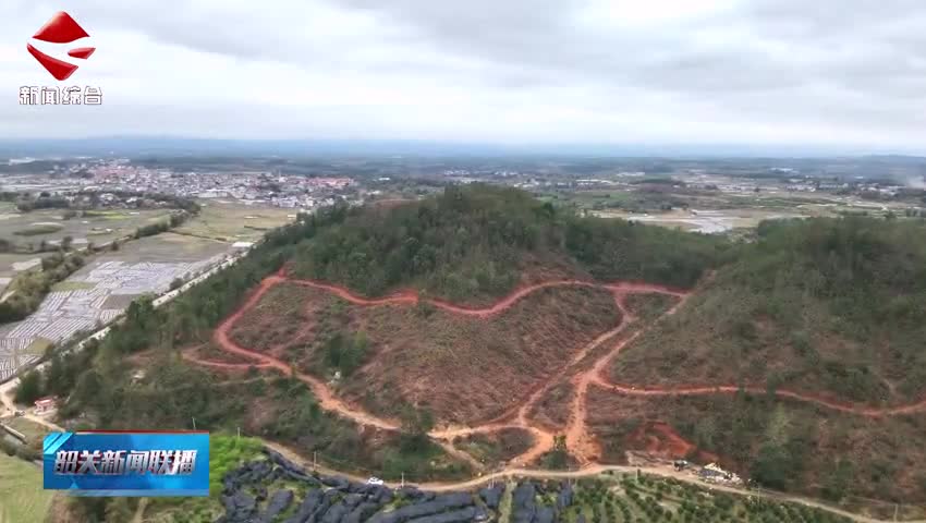 我市已建成森林質(zhì)量精準(zhǔn)提升大斑塊27個面積  7.82萬畝
