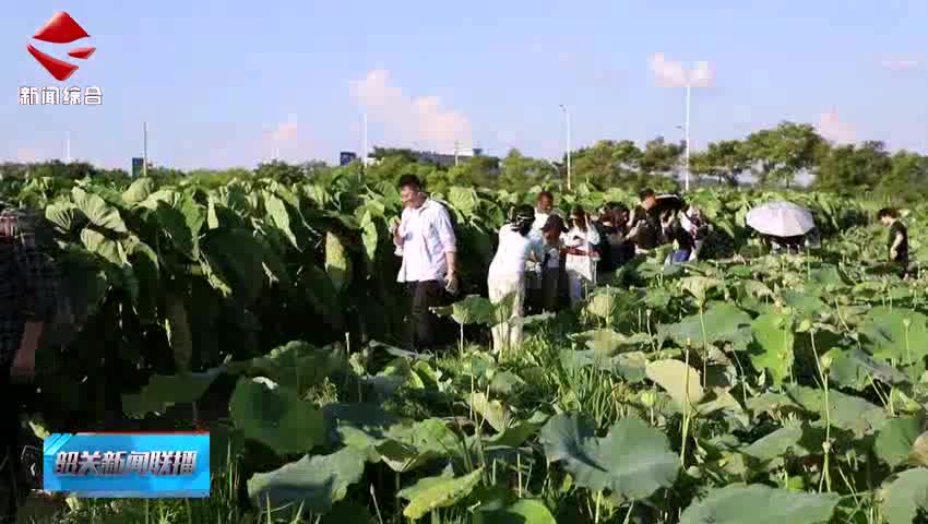 中外師生走進(jìn)韶關(guān)開展“感知中國 雙百有我”文化交流活動